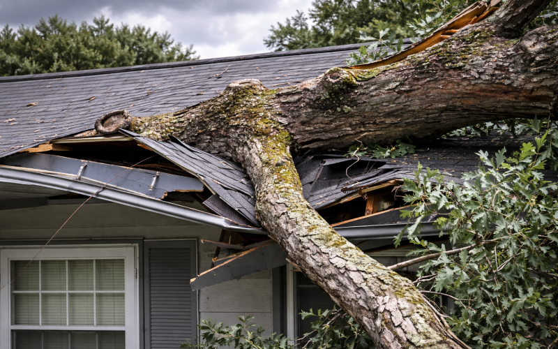 ChatGPT Image Mar 2, 2026, 06_03_57 PM